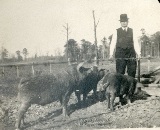 Pirkle on his farm