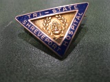 Tri-State Nursing Pin