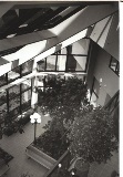 Steen-Hall Eye Institute Lobby 1988